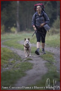 dogtreking_amy_2015.jpg